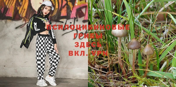 не бодяженный Алексин
