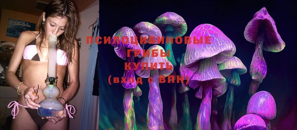 не бодяженный Алексин