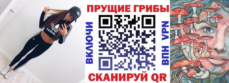 Галлюциногенные грибы GOLDEN TEACHER  Перевоз 